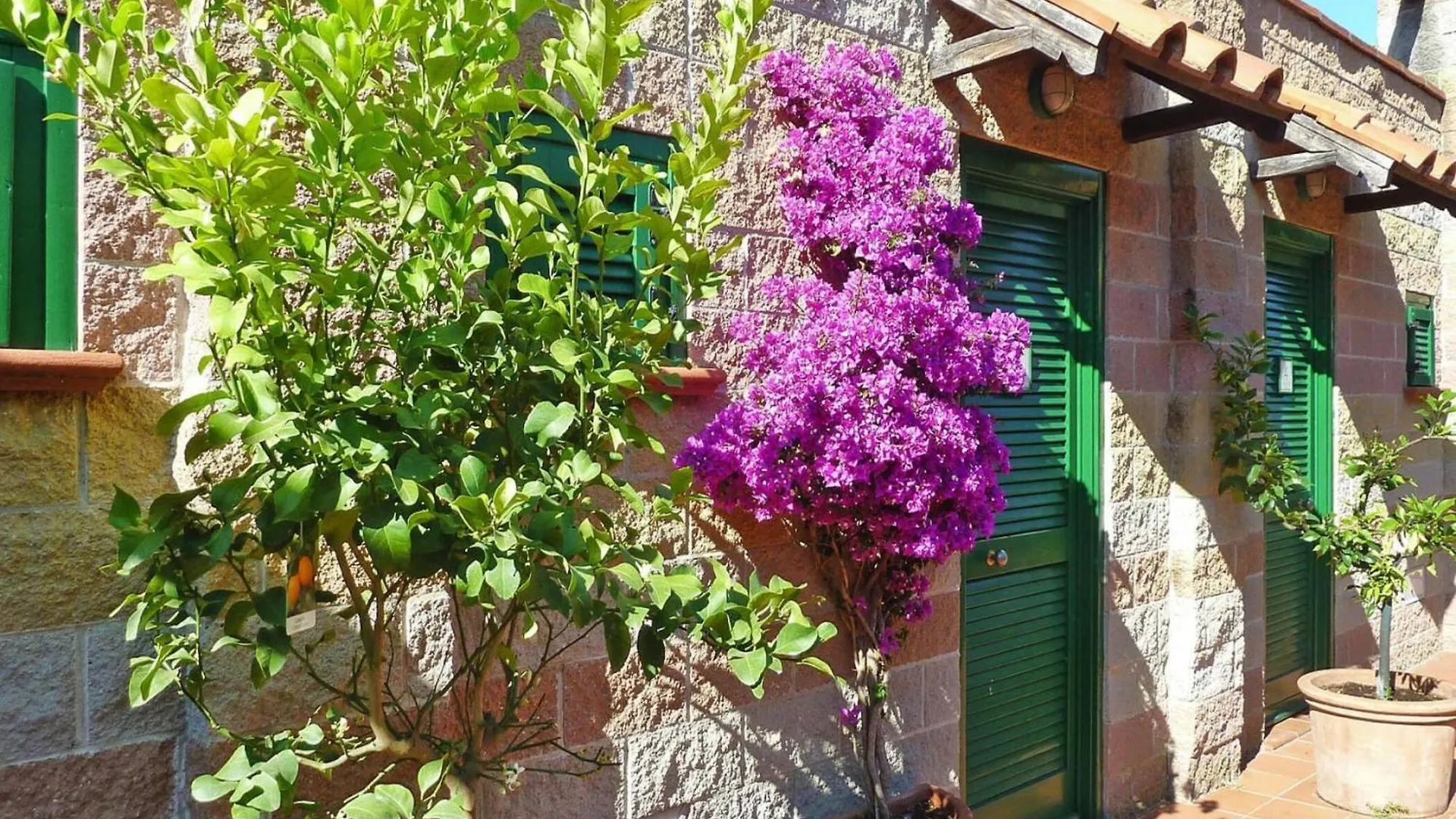 Apartmán Holiday Residence St Anna Rio Nell Elba Rio dellʼElba